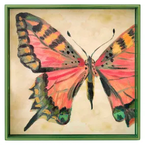 Butterfly Study 15 Inch Square Tray